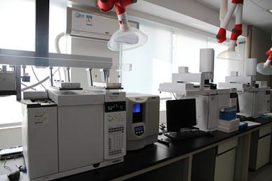 淮安实验室仪器气相色谱仪